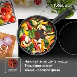 Сотейник с крышкой 24 см. Tefal Meteor 04208224