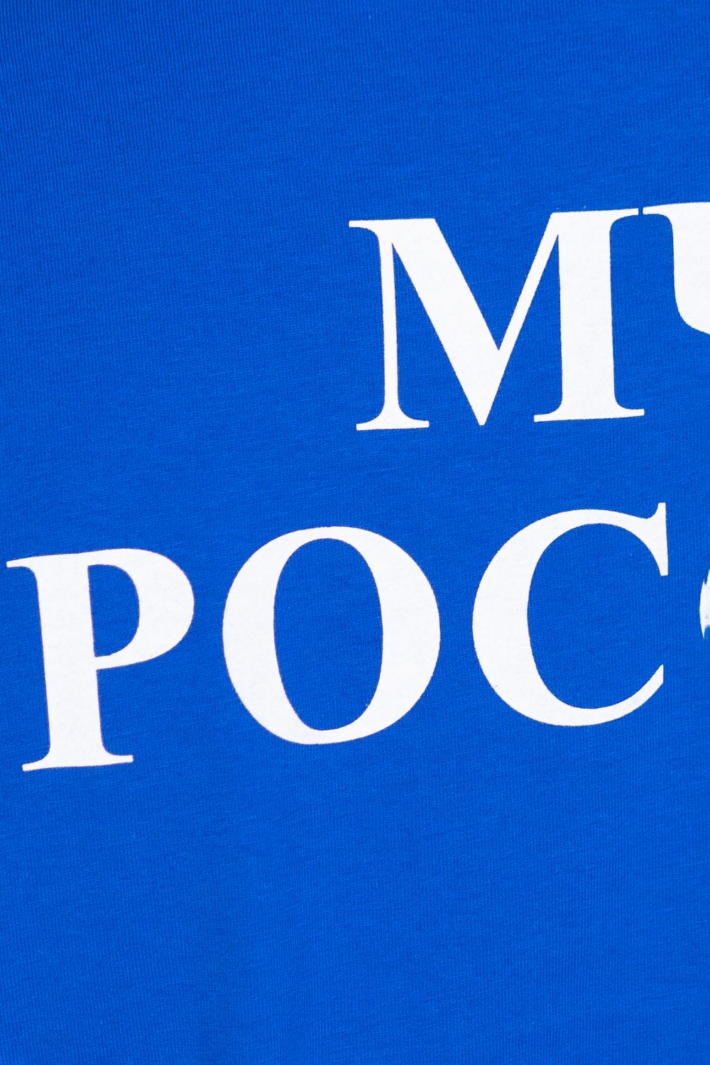 Футболка мужская МЧС цв. василек (термопечать)