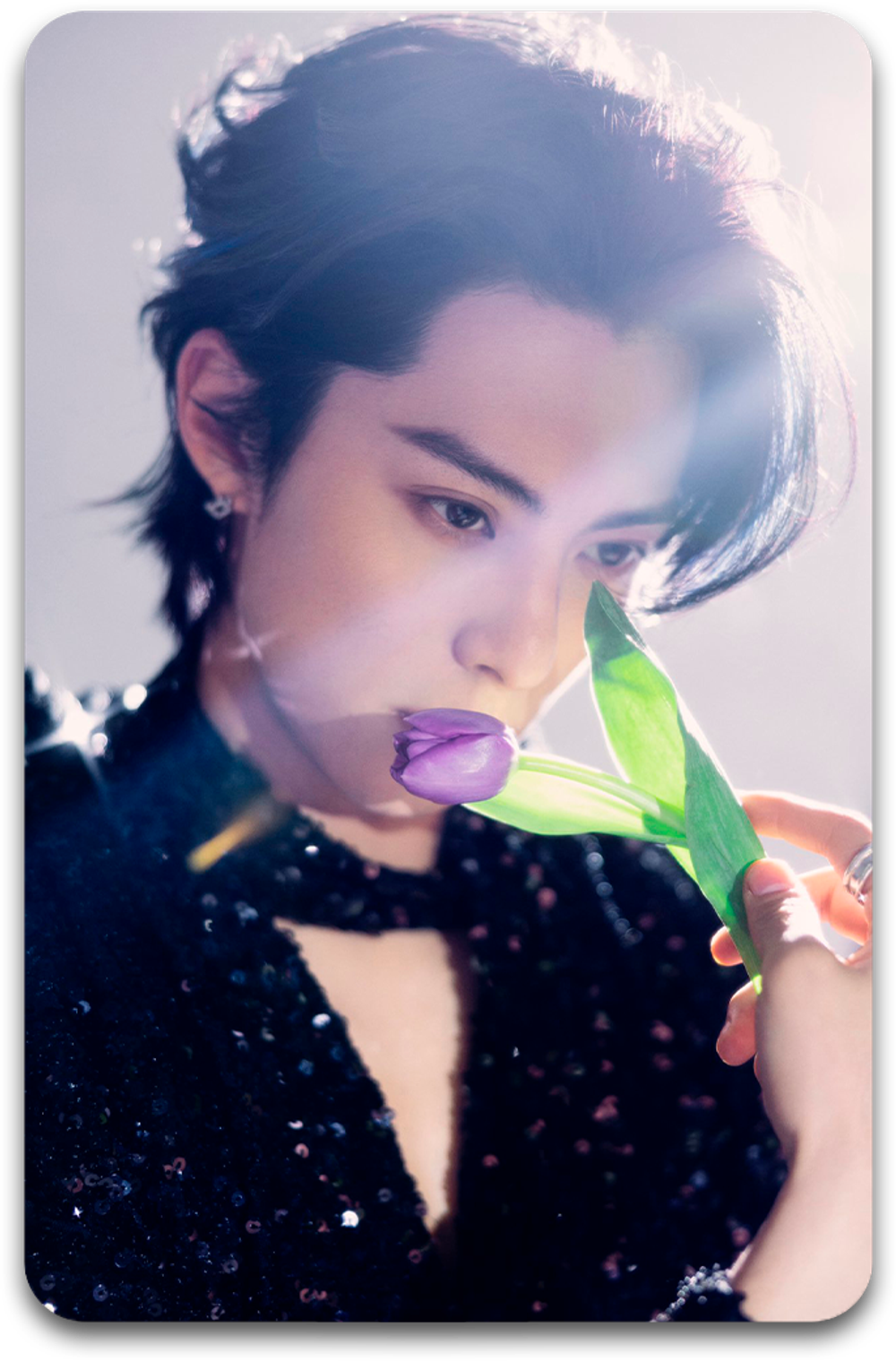 Карта #2662 / Dylan Wang