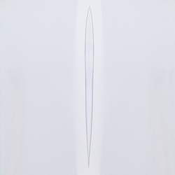 Медицинская мужская рубашка "Платан"