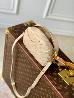 Louis Vuitton Tiny Camera Bag
