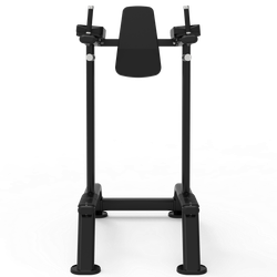 Impulse ITF8701 поднятие коленей / брусья