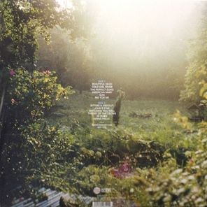 The National / The National (LP)