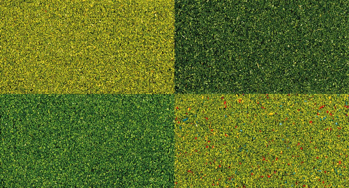 Набор присыпок, 4 вида.