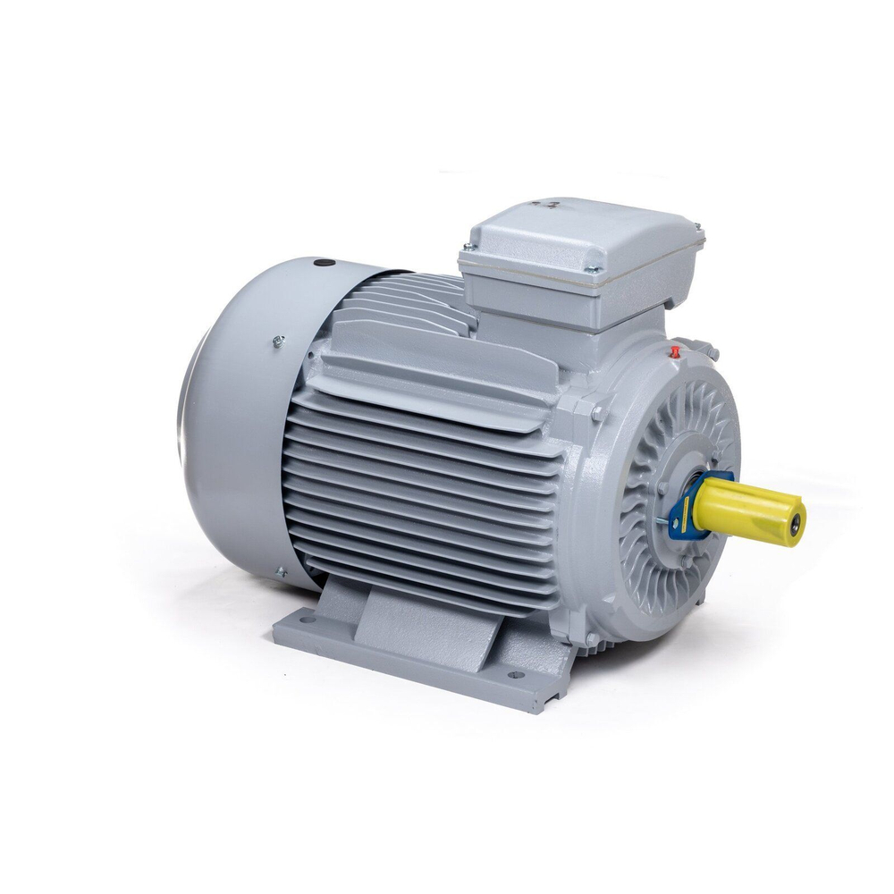 Электродвигатель ESQ PR 280 S6-SDN-Б1-S12-IE3 45/1000 IMB3
