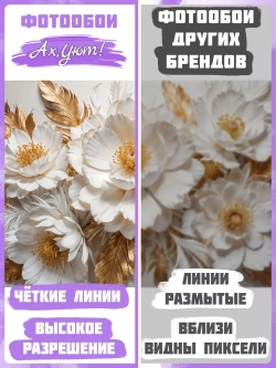 3D Фотообои Белые цветы и золотые перья