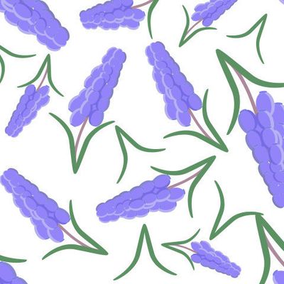 Фиолетовые мускари