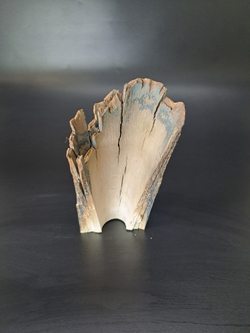 Бивень мамонта для коллекции