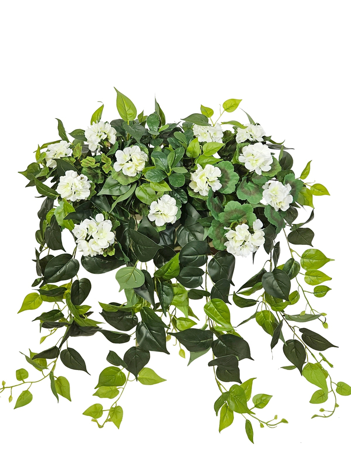 Герань белая с ампельной зеленью 80см в длинном кашпо