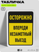 Табличка для парковки "Осторожно, впереди незаметный выезд", для дома, офиса, организаций, 40х30 см, Silver Plane x Айдентика Технолоджи