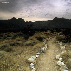 Travis & Fripp / Follow (2LP)