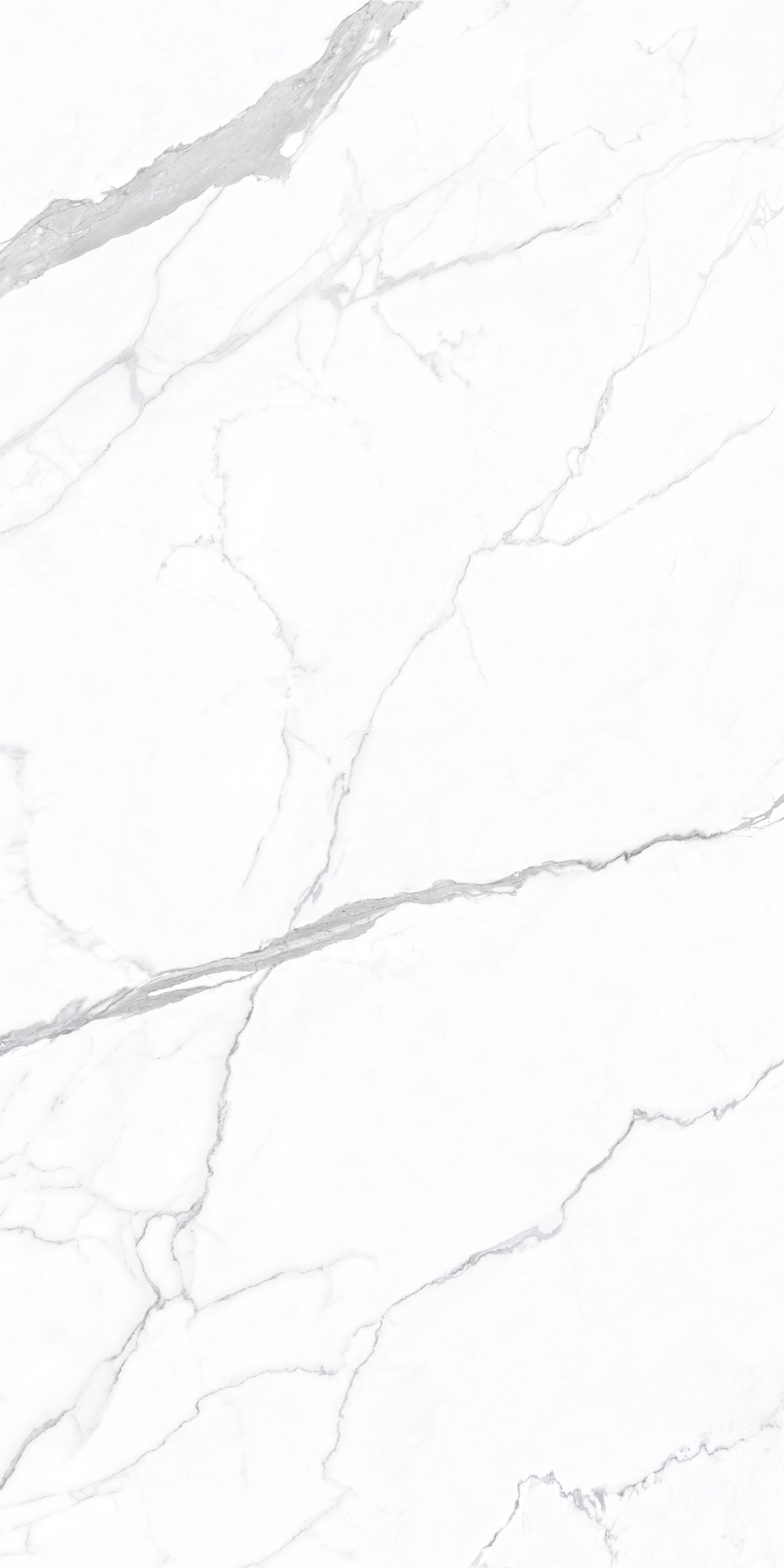 ALPS ARABESCATO CORCHIA