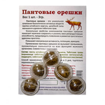Пантовый орешек (1 шт.)