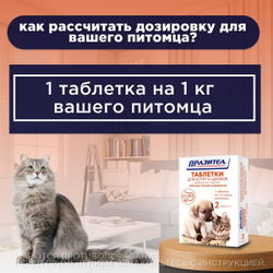 Таблетки от гельминтов для котят и щенков Празител, 2 таб. Празиквантел/Пирантел