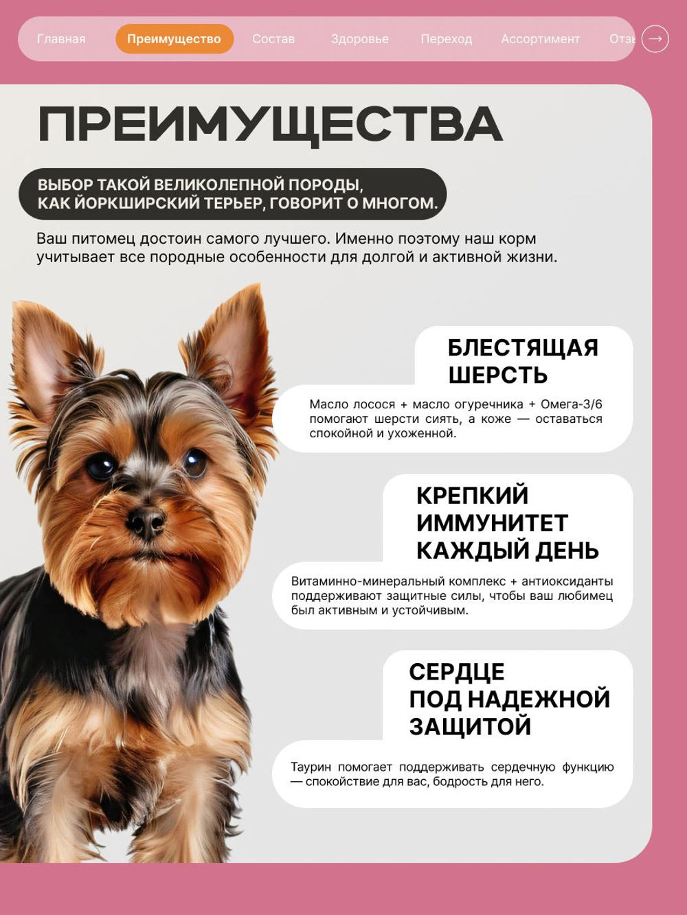Корм сухой для взрослых собак породы Йоркширский терьер, с индейкой, 12 кг, QUATTRO