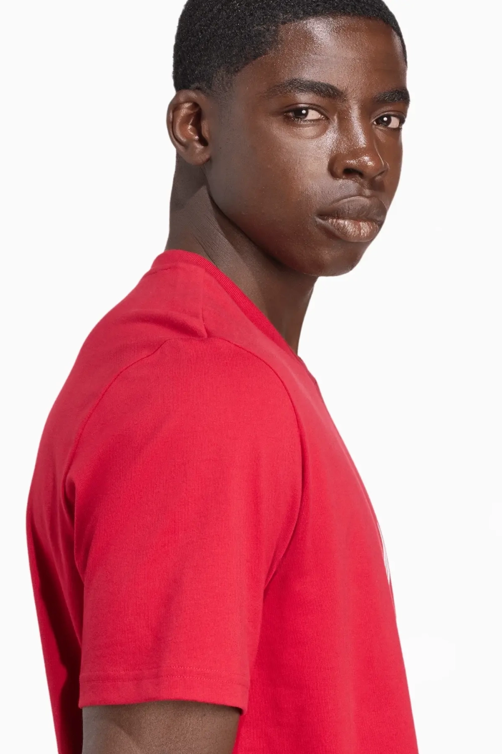 Футболка adidas Liverpool FC 25/26 DNA Graphic Tee - красный