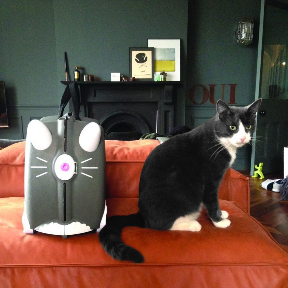 Чемодан на колесиках Trunki Cat Benny