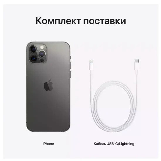 iPhone 12 Pro Max 256 GB Graphite (Графитовый)