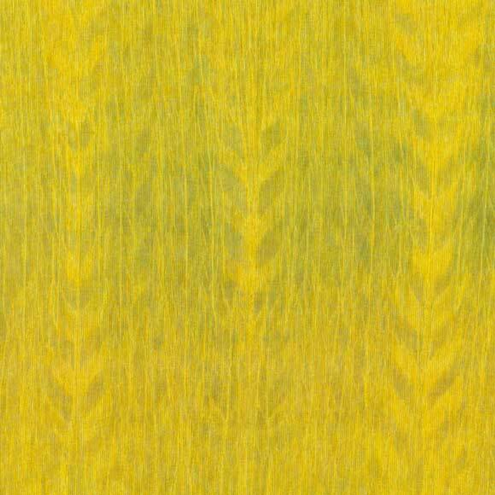 Arte Amazone 2 Fierce – 23505