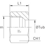Гайка N DL15 (нерж.)