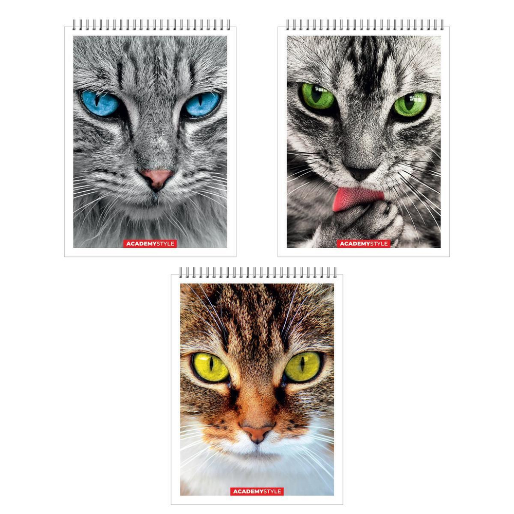 Блокнот А7 40л клетка "Кошки" (Академия Групп)