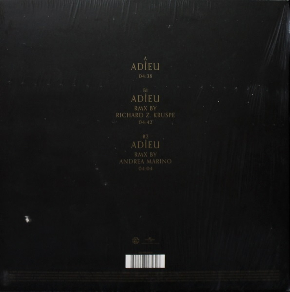 Rammstein / Adieu (10" Vinyl Single)