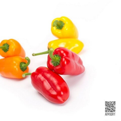 Триелло F1 семена перца сладкого (Rijk Zwaan / Райк Цваан)