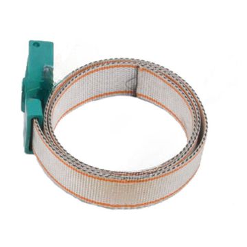 Ошейник для КРС с пластиковой пряжкой (зеленый) (Китай)