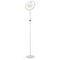 Торшер Citilux Loong CL810030