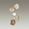 Бра Odeon Light Exclusive Caramella 5416/25WL