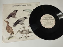 Винтажная виниловая пластинка LP Звуки Общения Птиц 10 дюймов (СССР 1987)