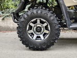 LINHAI-YAMAHA M 170 бежевый