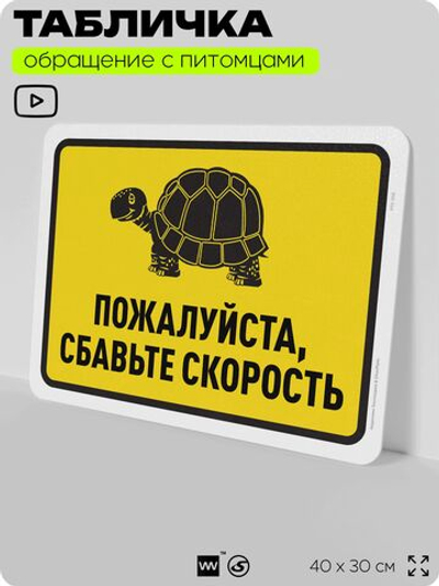 Табличка "Пожалуйста, сбавьте скорость" на дверь и забор, для двора, дома, подъезда, 40х30 см, Silver Plane x Айдентика Технолоджи