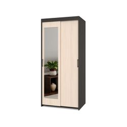 Шкаф-купе двухстворчатый "Томас" Т22, ЛДСП, MODERN, г. Ижевск