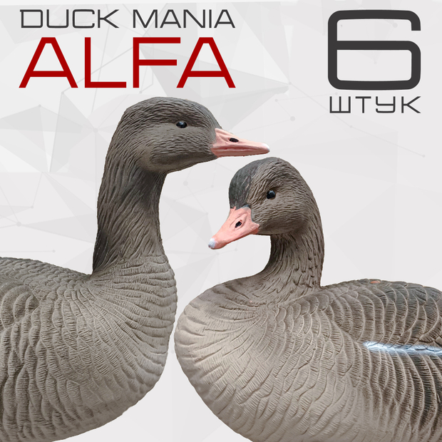 Серый гусь Duck Mania "ALFA" 6 штук