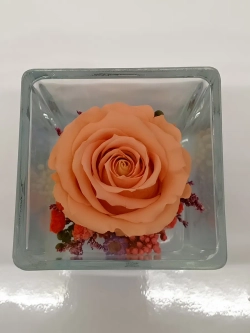 натуральная роза в стекле, вакуум*