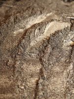 Премиум пигмент 8972 Тёмный орех - универсальный