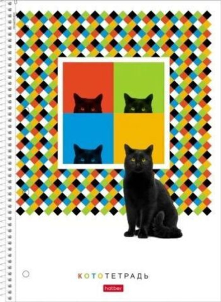Тетрадь А4 120л кл. гребень Hatber "Тот самый кот" софт-тач, многоуров.перф., 3 разделит.*
