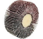 КРУГ ЛЕПЕСТКОВЫЙ MATRIX ДЛЯ ДРЕЛИ, 80Х30Х6ММ P 80 74144