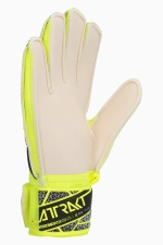 Вратарские перчатки Reusch Attrakt Solid Junior