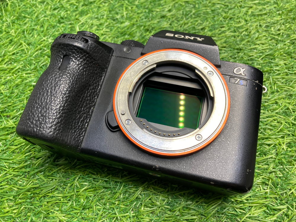Sony A7S ll 33.500 кадров