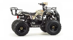 Квадроцикл MOTOLAND 125 FOX
