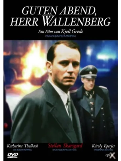 Добрый вечер, господин Валленберг (1990) (DVD-R)