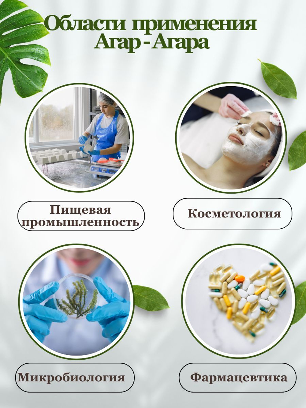 Агар-агар пищевой натуральный загуститель крепость 900 blum, 100 г для выпечки и кондитерских изделий, для десертов МилоБио