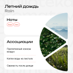 Летний дождь