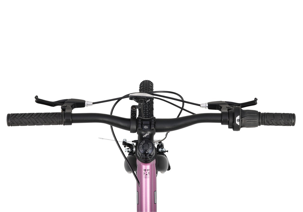 Велосипед 24'' Maxiscoo 5BIKE  L200 Розовый Сапфир (2025)