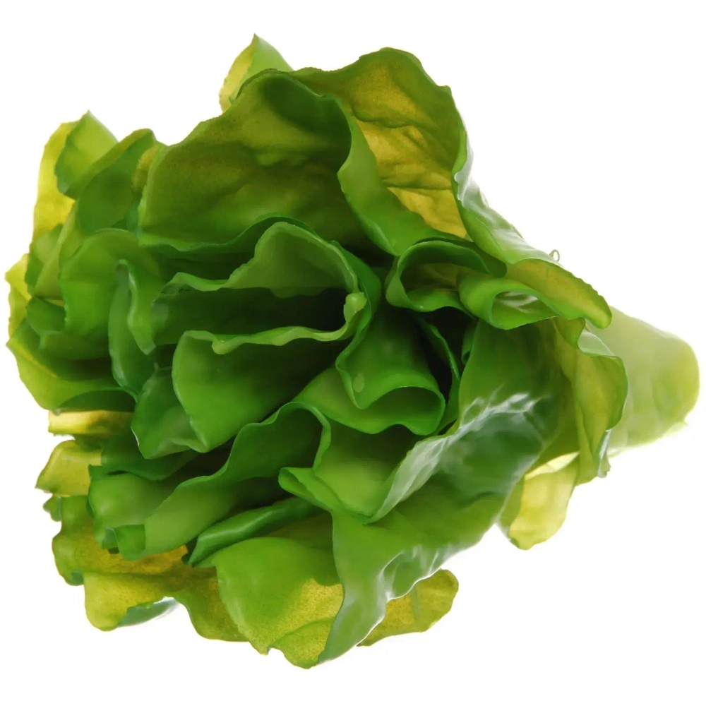 Муляж «Салат Латук» 17*15см