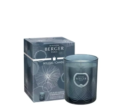 Maison Berger Paris - Ароматическая свеча Molecule Bleute Noire 240г Магнолия / артикул   7412  / GTIN 3127290074126