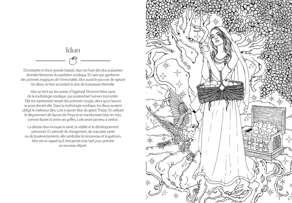 Hachette раскраска по номерам Déesses - Livre de coloriage