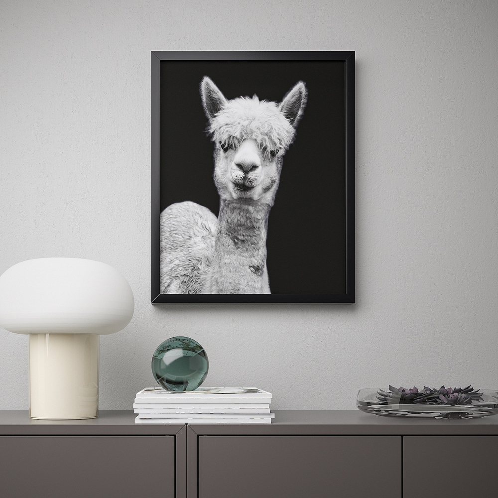 IKEA BILD  (ИКЕА БИЛД)  -  Плакат, Tatsi, 40x50 см